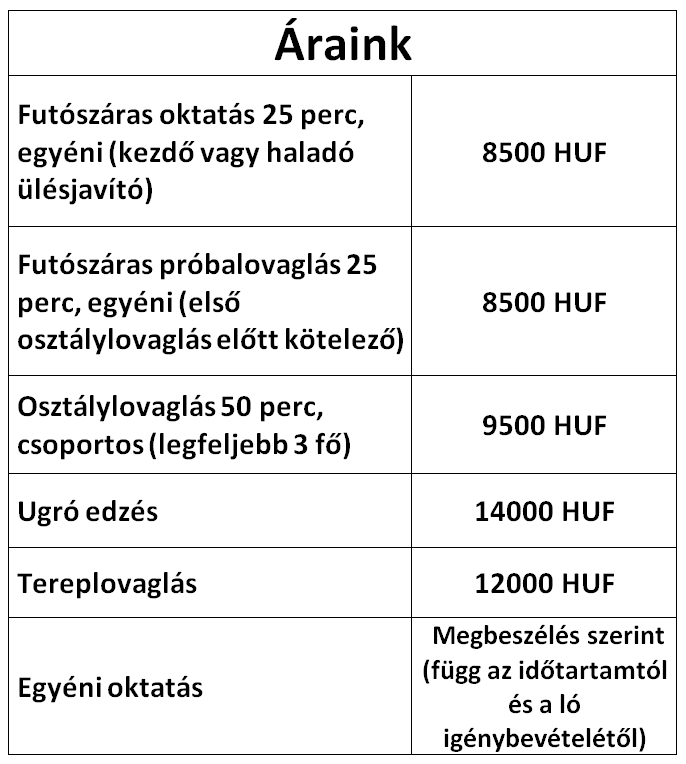 Áraink